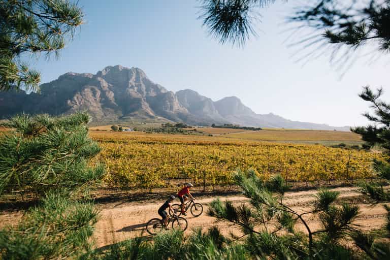 Sip and cycle around the Winelands