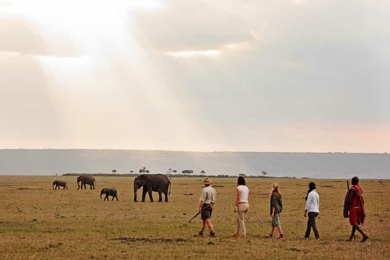 Walking safari