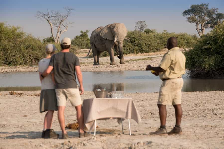 What You Need to Know About a Botswana Safari