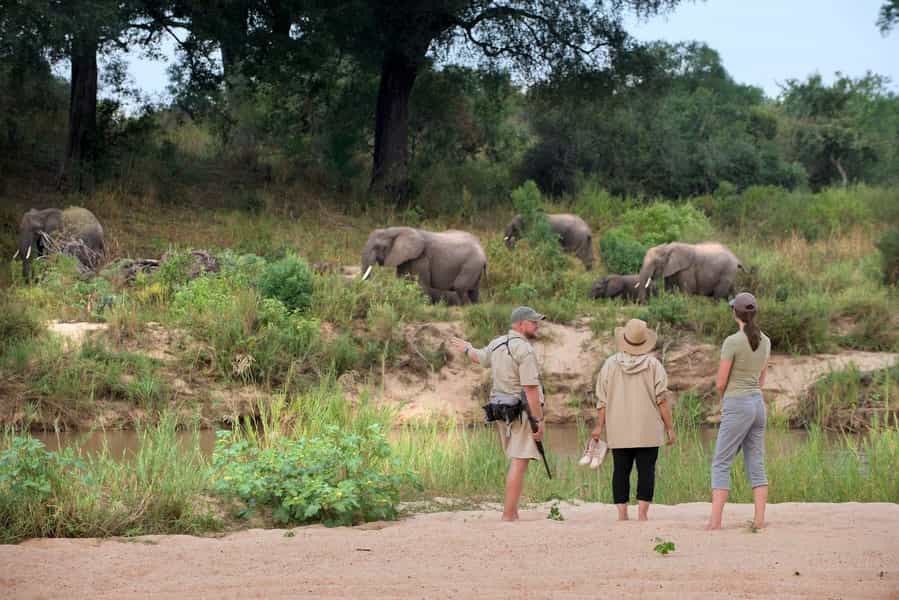 What to wear on safari in South Africa