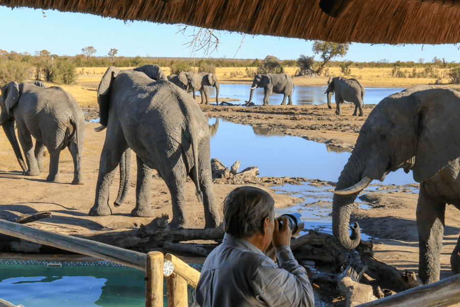 Hwange National Park