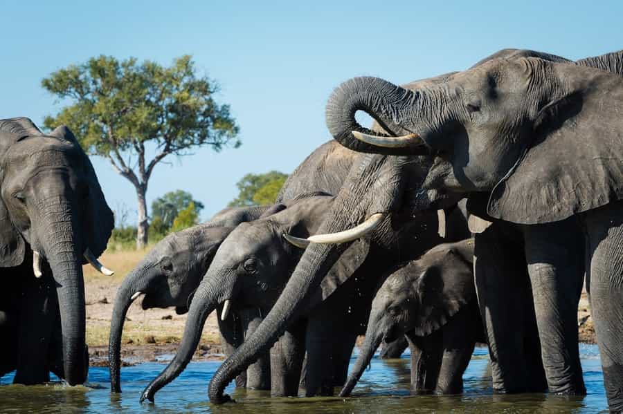 Hwange National Park