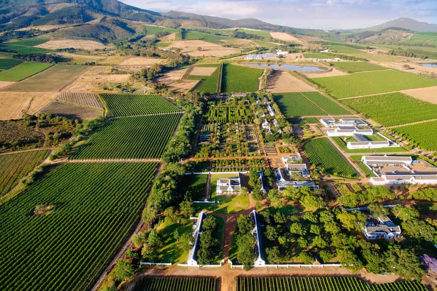 Things to do in the Cape Winelands