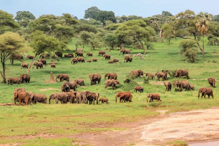 best national parks in Tanzania