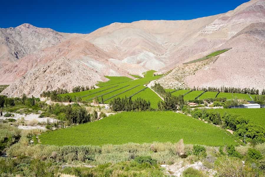 best regions for wine tasting in South America
