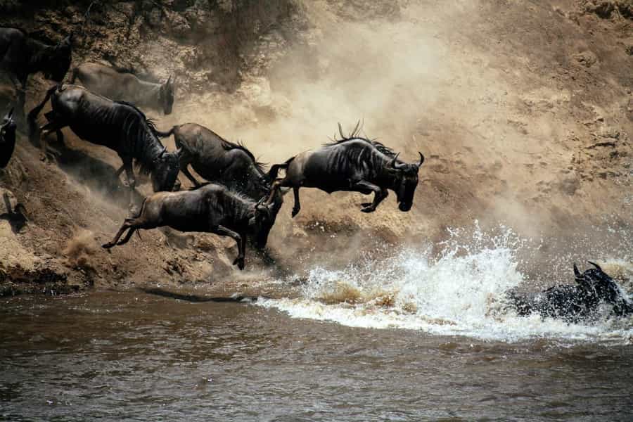 best national parks in Tanzania