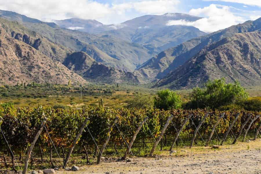 best regions for wine tasting in South America