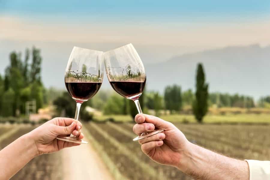 best regions for wine tasting in South America