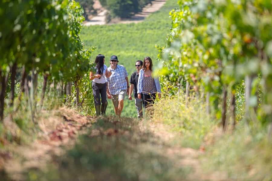 best regions for wine tasting in South America