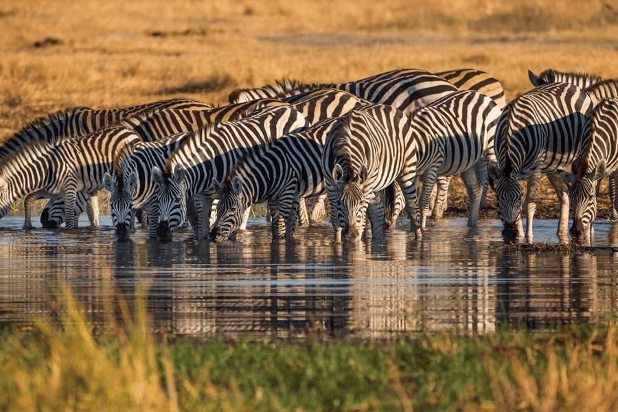 best national parks in Tanzania
