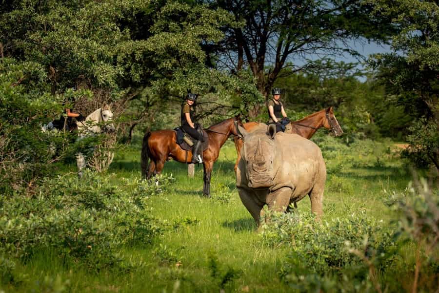 Safaris for families in South Africa