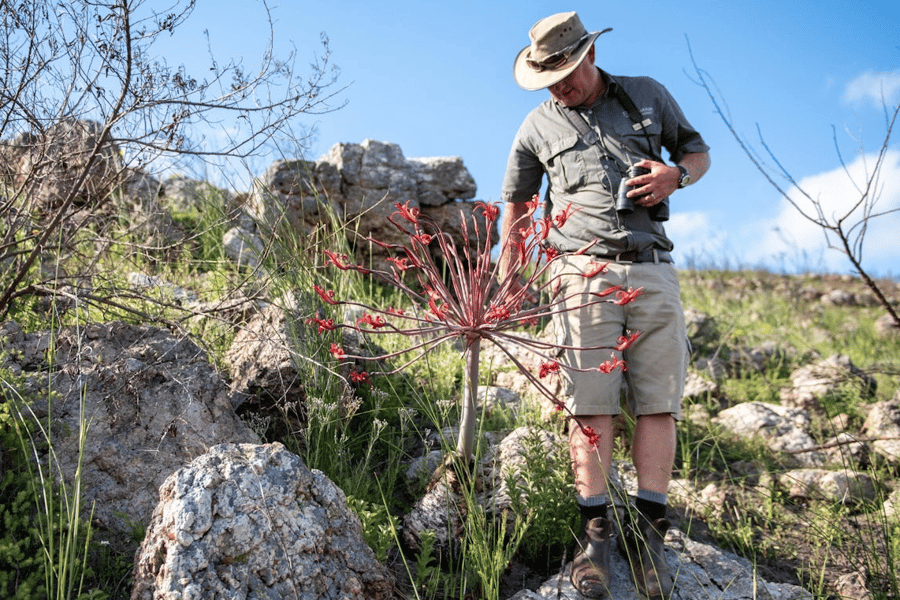 What to wear on safari in South Africa