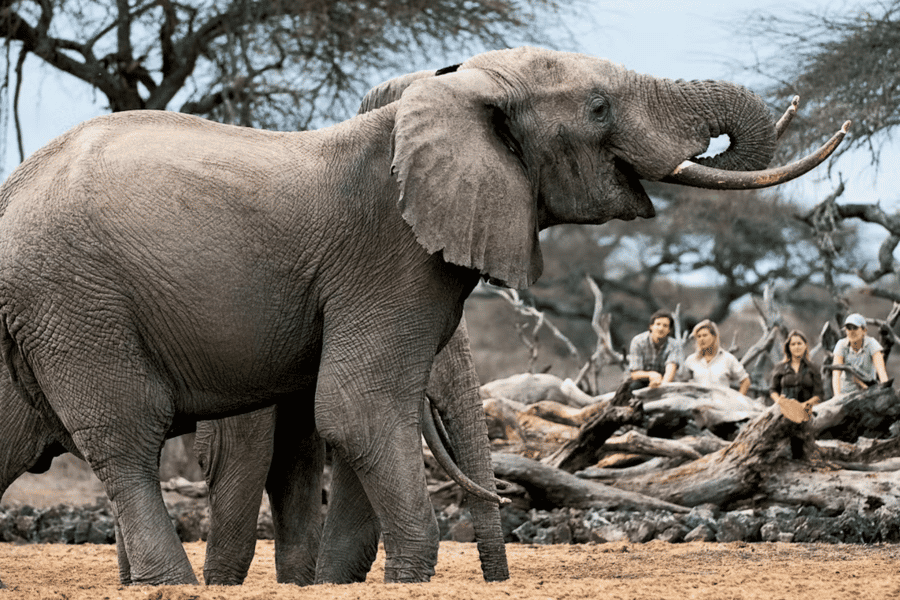 hidden safari destinations in kenya