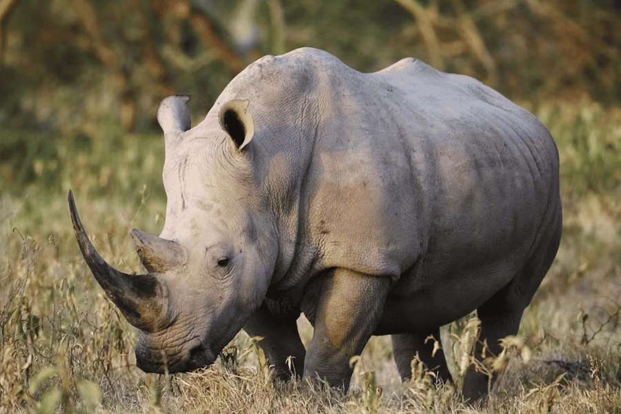 hidden gems in kenya