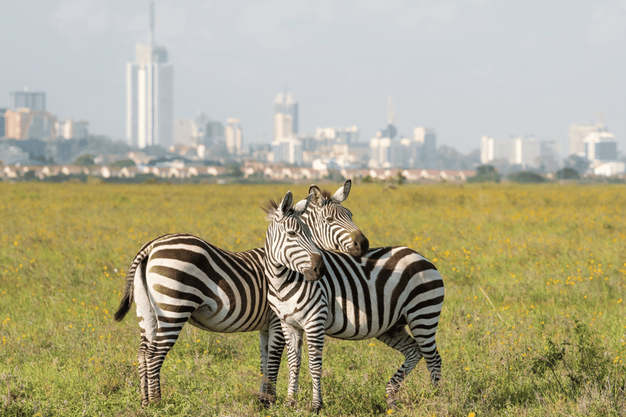 tourism in kenya