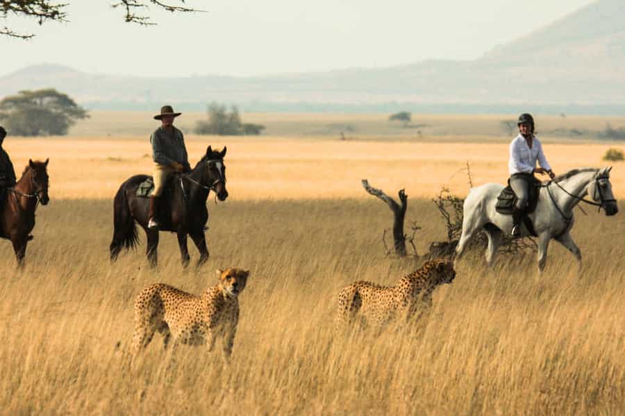 tourism in kenya