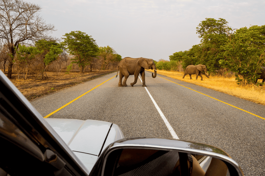 Great Zimbabwe Ruins