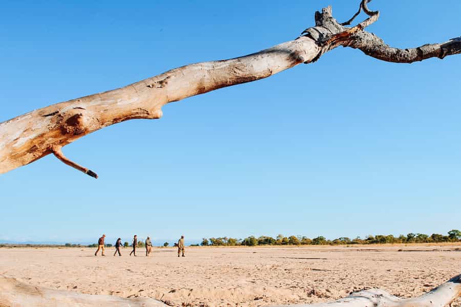 Zambia walking safari