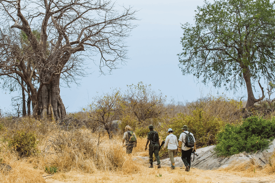 Southern Tanzania safari