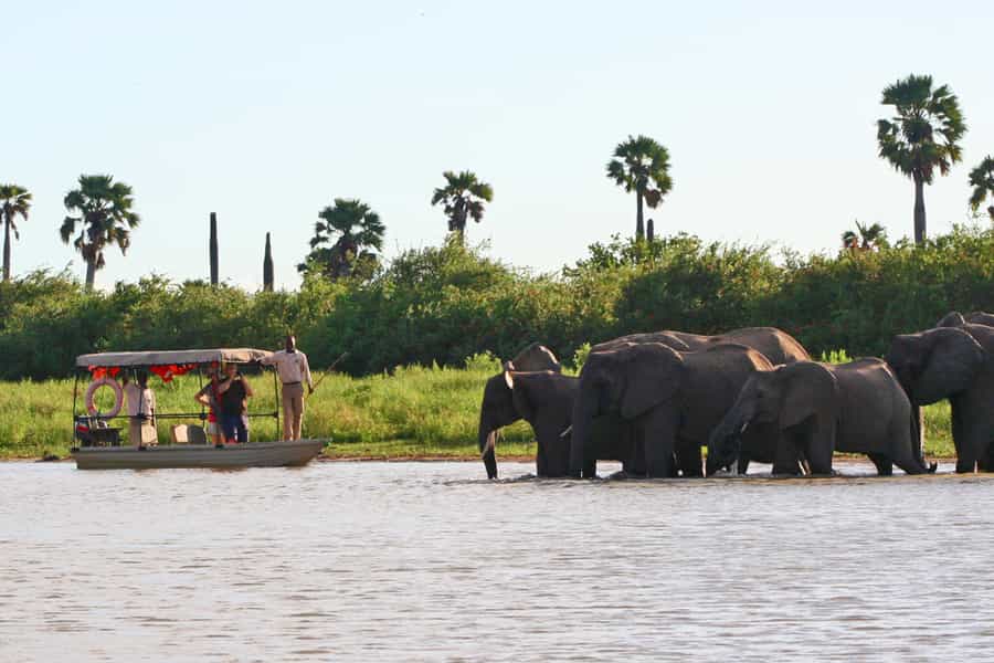  Southern Tanzania safari