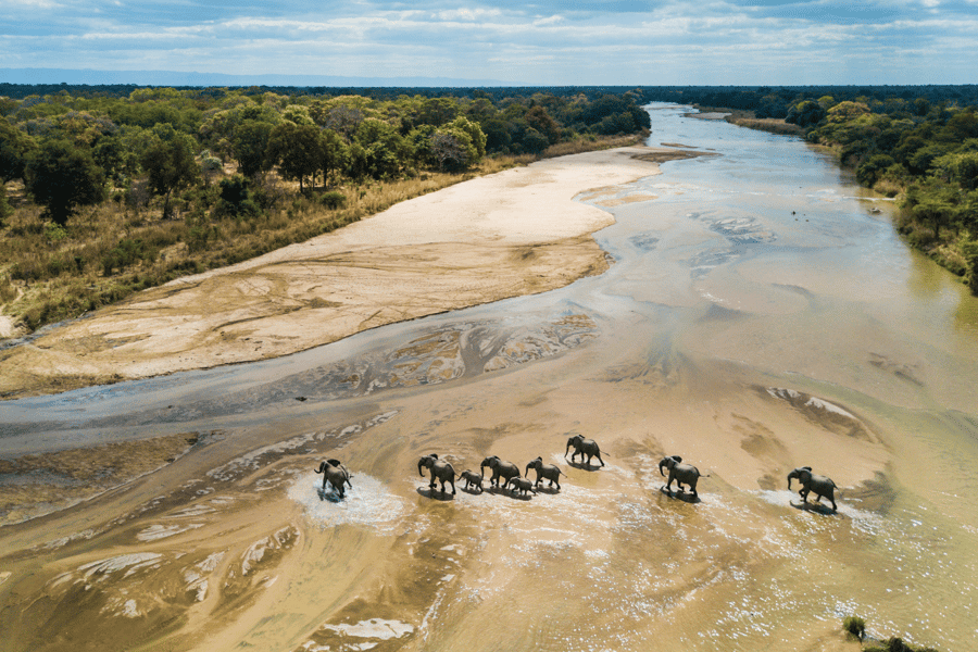 Zambia walking safari