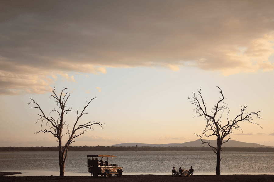 Southern Tanzania safari