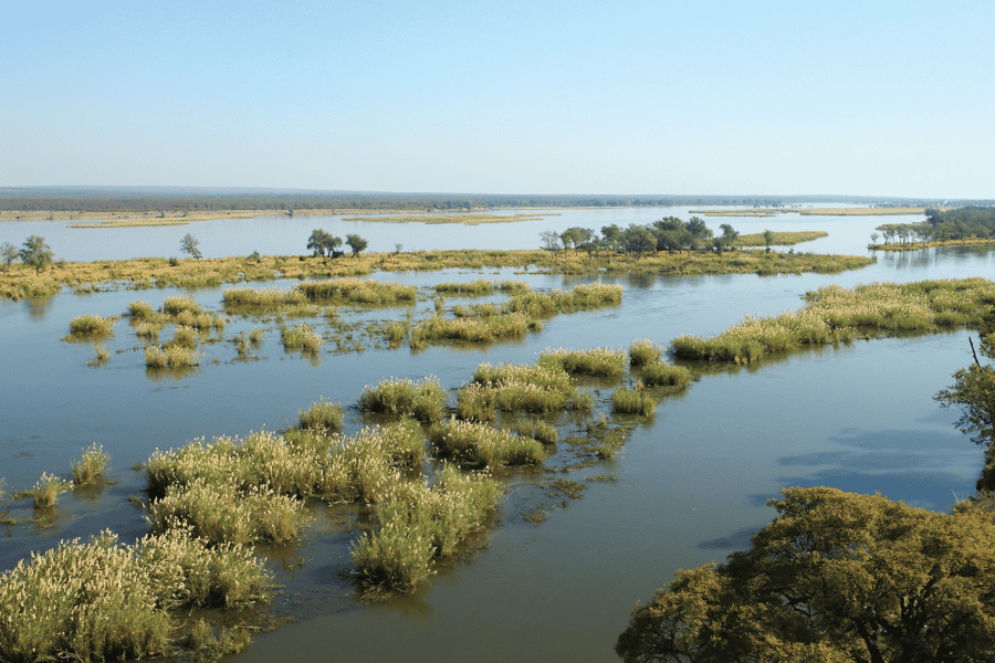 Zambia walking safari