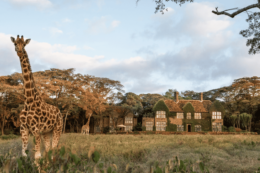 best family kenya safari
