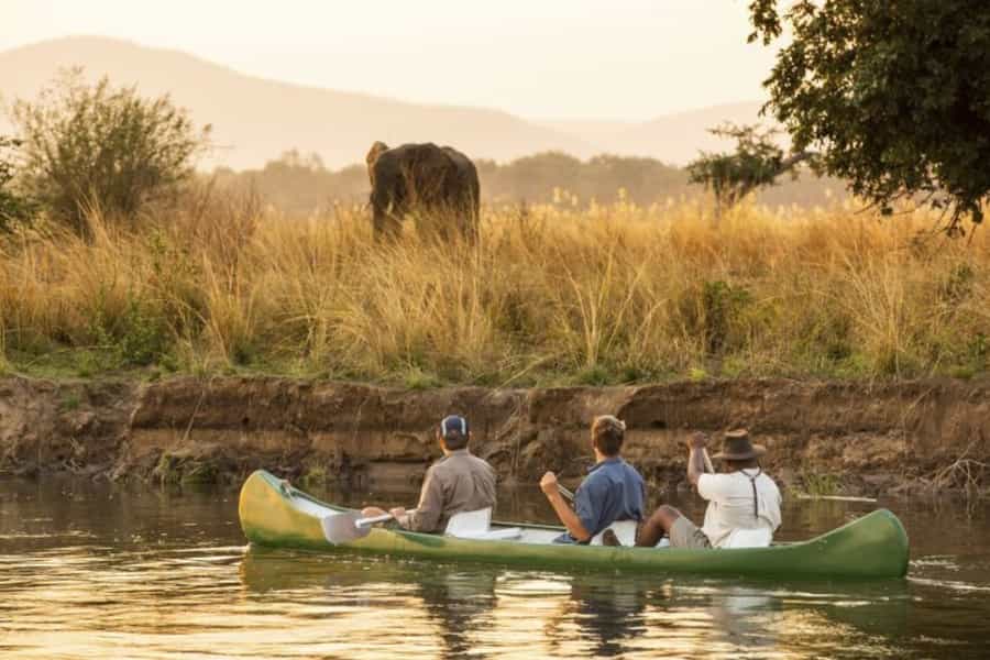 Tips for Photography on Safari