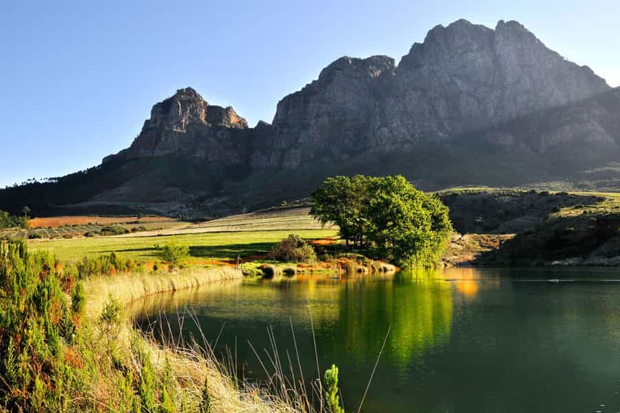 Things to do in the Cape Winelands