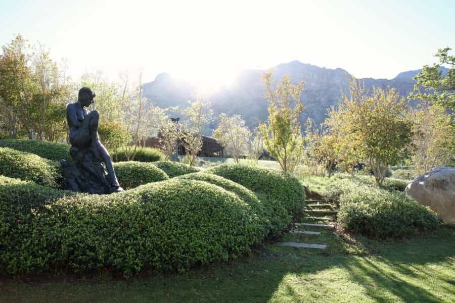 Things to do in the Cape Winelands