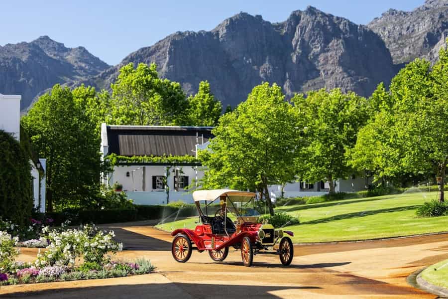 Things to do in the Cape Winelands